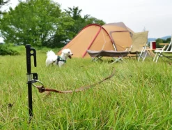 Online Dog Lead Anchor 50 Pets