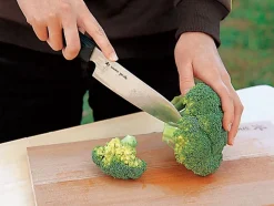 Best Field Kitchen Knife Santoku Cookware Accessories|Utensils