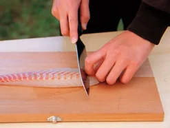 Best Field Kitchen Knife Santoku Cookware Accessories|Utensils