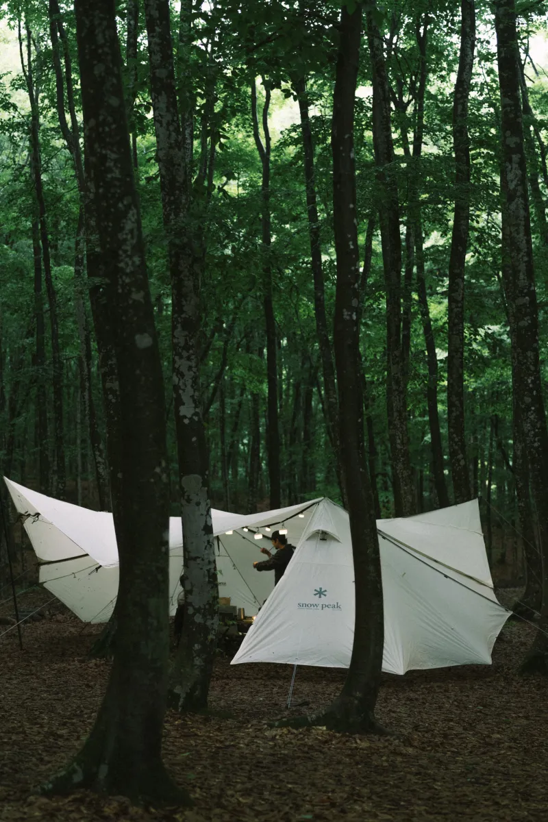 Cheap Land Station Tent Set Sets & Kits|Sets