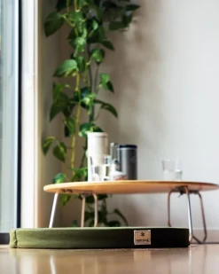 Hot Lounge Cushion Chairs