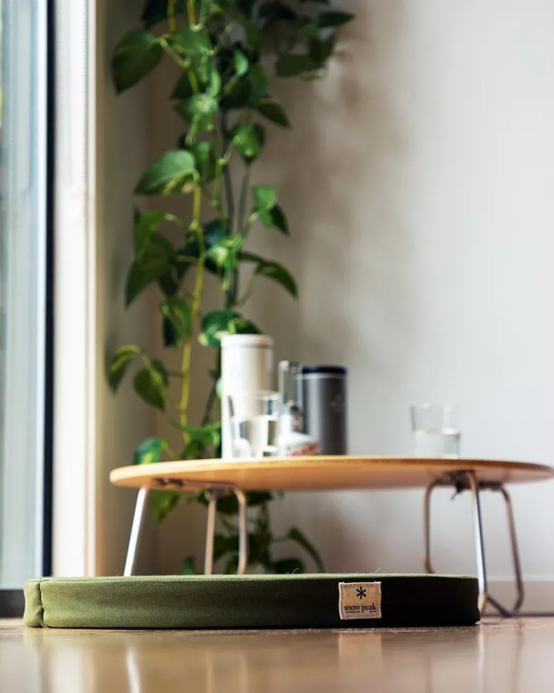 Hot Lounge Cushion Chairs