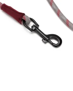 Store SP Rope Lead Pets