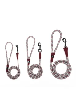 Store SP Rope Lead Pets