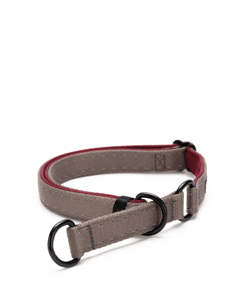 Shop SP Slip Collar Pets