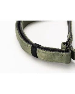 Store SP Slip Collar Olive Pets