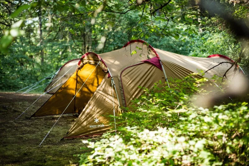 New Vault 2-4 Person